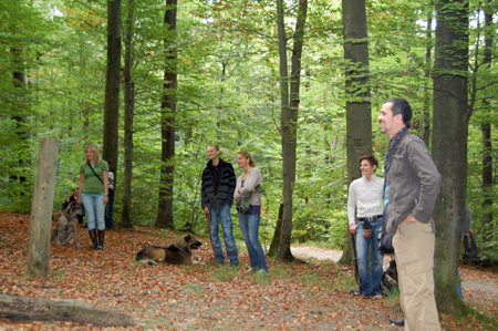 Wald