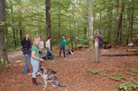 Wald2
